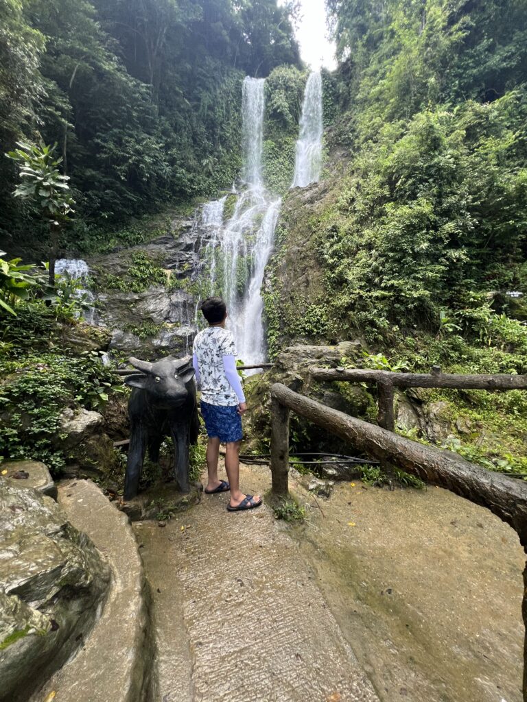 Tamaraw Falls